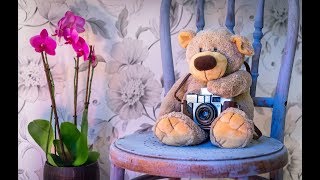 КРАСИВОЕ ПОЗДРАВЛЕНИЕ С ДНЕМ РОЖДЕНИЯ ДЕВОЧКЕ!