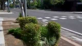 Why You Shouldn't Be A Jehovah's Witness by SmokingNTheGraveyard