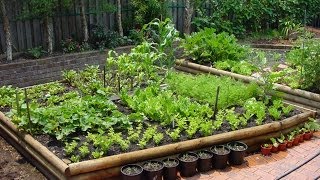 Preparing Vegetable Beds for Planting