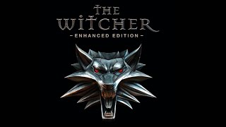 The Witcher ч.8