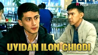 Gorilla - Uyidan ilon chiqdi