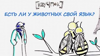 Есть ли у животных свой язык? — Научпок