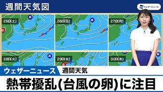 週間天気／熱帯擾乱(台風の卵)に注目