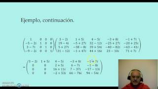 Nulidad y rango de una matriz.