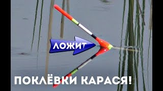 Виды поклёвок карася!