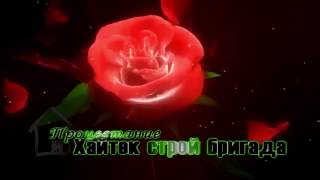 Строительная бригада Процветание