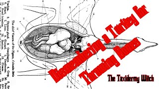 Dismembering & Cleaning a Holiday Turkey for a Divination "Bones Set" in Hoodoo-THE TAXIDERMY WITCH