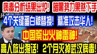 病毒分析结果出炉！暗黑势力果然下手！4个关键蛋白被替换！精准攻击华人！中国祭出火神雷神！高人放出狠话！2个月灭掉武汉病毒！