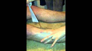 Charity Mens Sponsored Leg Wax 18.02.12