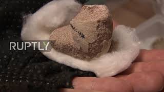 Argentina: 85-million-year-old fossil eggs found on Neuquen university campus