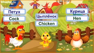 Домашние птицы для детей на английском языке - Видео-тренажер