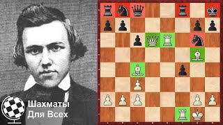 Пол Морфи. КРАСИВЫЙ РАЗГРОМ в Королевском Гамбите! Шахматы