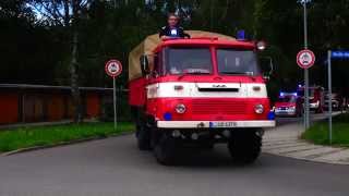 [140 Jahre!]Fahrzeugcorso FF Regis-Breitingen