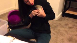 Hedgehog Nail Trimming