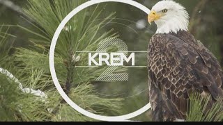 KREM News 7 a.m., Jan. 30, 2019