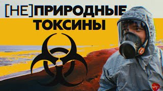 Микроводоросли или утечка токсинов: на Камчатке отрабатывают две основные версии загрязнения воды