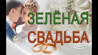 ?Бесплатный  ?Свадебный проект ProShow Producer6 ?Зелёная свадьба