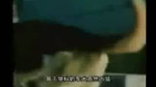 Dog is mating