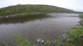 Fly Fishing in Finnmark, Norway 2015