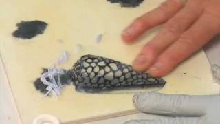 Daniella Woolf: encaustic for fiber artists - SDA Demonstrations 2009 DVD