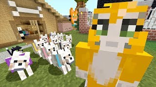 Minecraft Xbox - Dog Day [571]