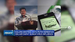Kalung Ekstrak Kayu Putih Kementan Diklaim Dapat Bunuh Virus Influenza