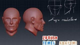 zbrush kafa modelleme ( temel anatomi )