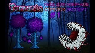 TERRARIA | ГАЙД ДЛЯ НОВИЧКОВ | СТРЕЛОК | ЭКСПЕРТ | #1