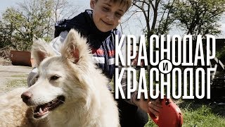 Краснодар и Краснодог. Короткометражный социальный фильм.