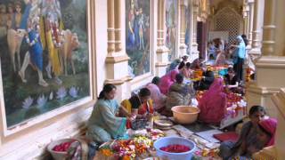 Happy Holi !!! Vrindavan, India