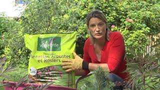 VillaVerde - Plantation des arbustes