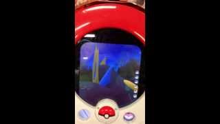 ポケモントレッターフェス2弾アルセウスbyかめけん