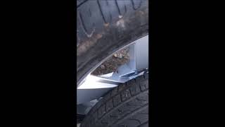 Диски на Skoda Octavia A7