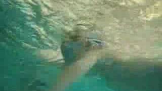 kids underwater