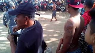17 agustus           tiban pantai prigi geger