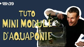 Tuto : Fabriquez un mini-module aquaponique