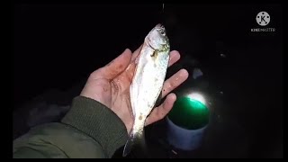 29 09 2021г. ночная рыбалка причал Кобулети ЛУФАРЬ ВИДЕО Артур Мартиросян Аджария Грузия -00 ч. 30 м