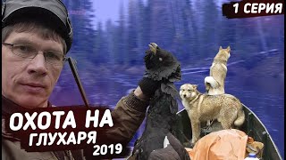Охота на глухаря 2019 ✔️ Охота в Коми. 1 серия.