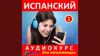 Столовый Сервиз