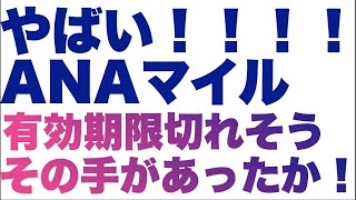 ANAマイル有効期限切れ対策