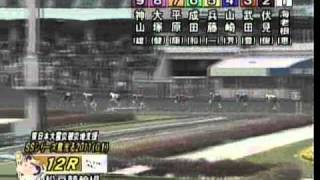 ＳＳシリーズ風光る２０１１