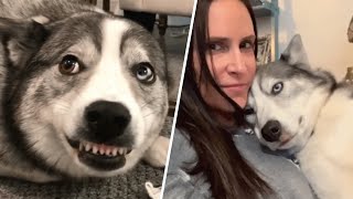 Woman discovers her dog was allergic to humans and ants. And now he's her soulmate dog.