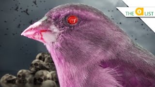 3 Animals That Want To Suck Your Blood