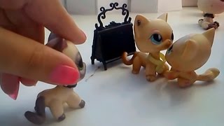Littlest Pet Shop(LPS)"Любовь пацанки"2 сезон 3 серия"Зачем ты играешь с моими чувствами"