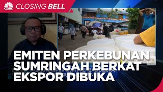 Keran Ekspor Sawit Kembali Dibuka, Emiten Perkebunan Sumringah