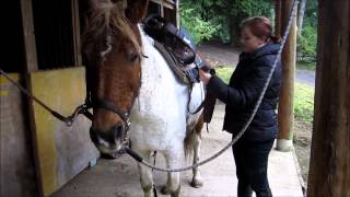 Catching, grooming, tacking up and riding