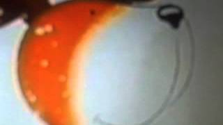 Kipper VHS Promo 1999 - 2001