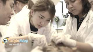 Insight Siriraj  ตอน อาจารย์ใหญ่