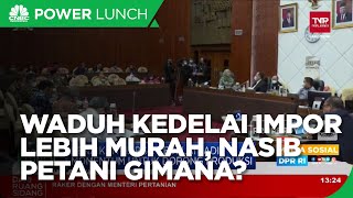 Kedelai Impor Lebih Murah Daripada Lokal, Ini Kata Mentan