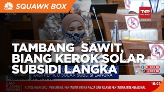 Tambang & Sawit, Biang Kerok Solar Subsisi Langka